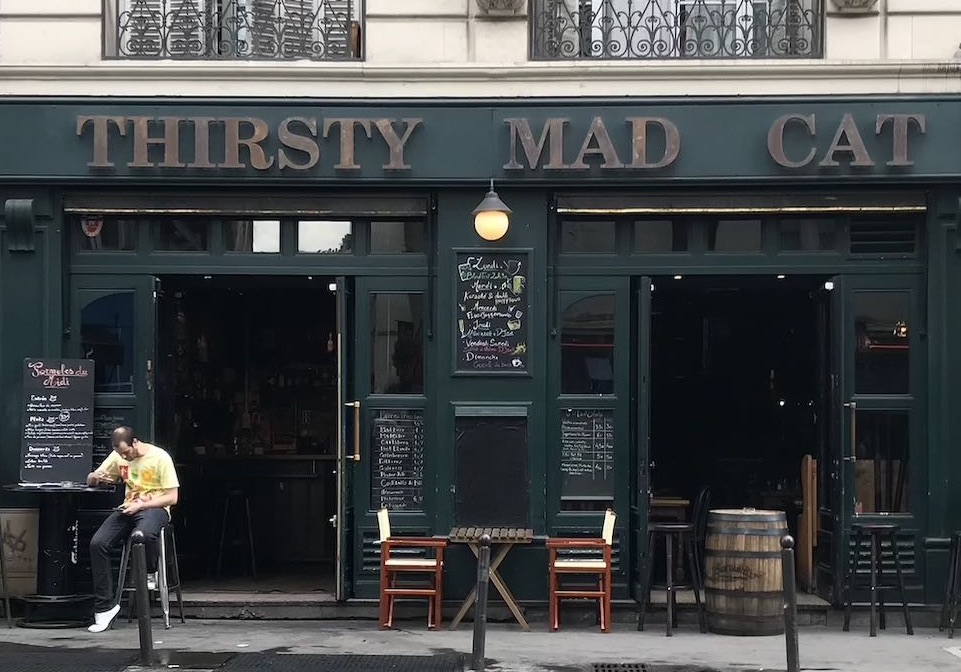 Thirsty Mad Cat