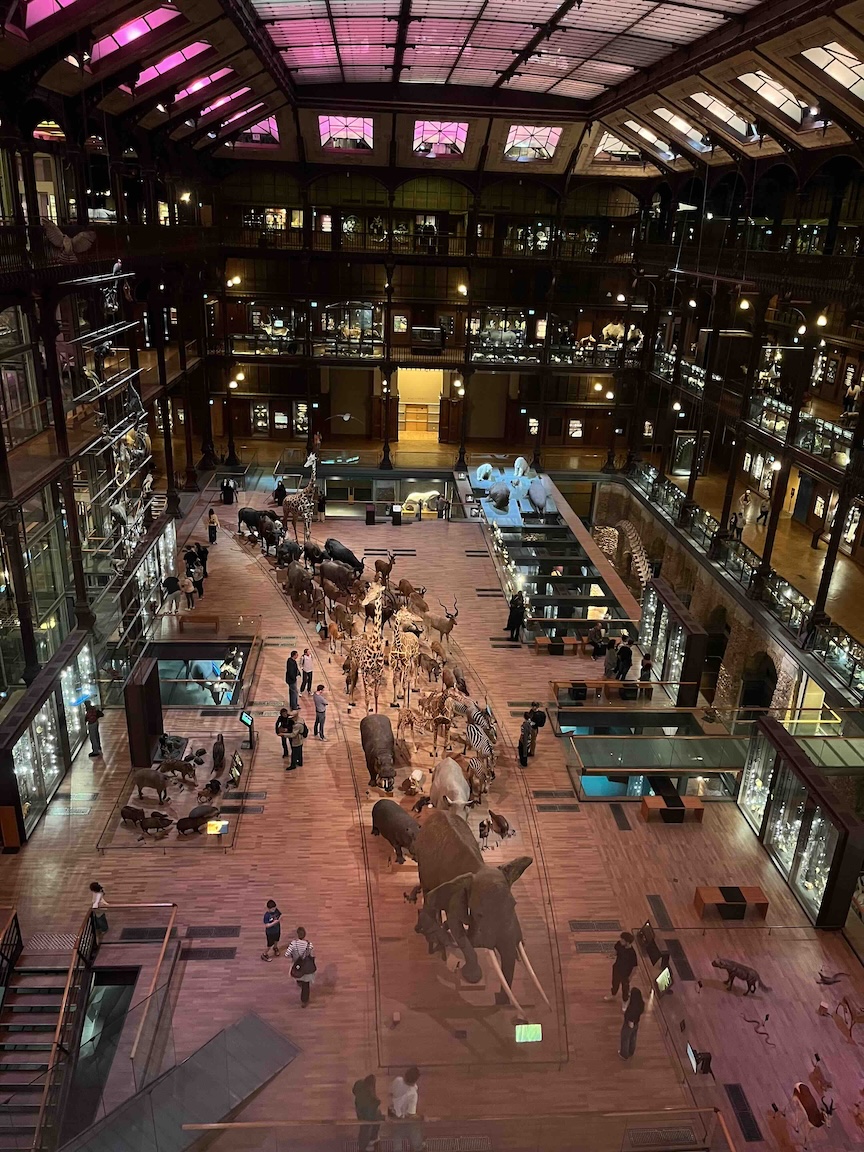 Grande Galerie de l'Evolution