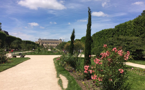Jardin des Plantes