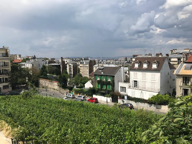 Montmartre vineyard