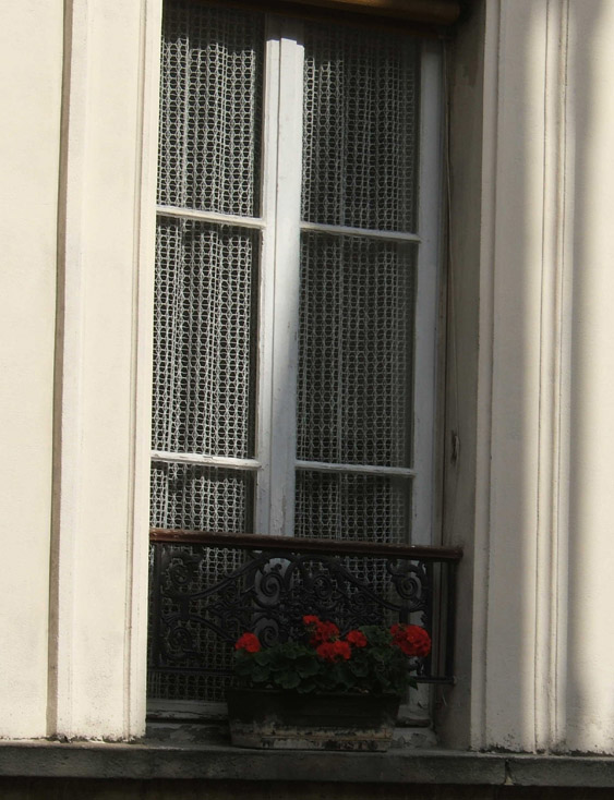 Window&Flowers